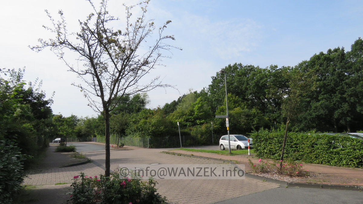 Crataegus laevigata Paul's Scarlet - krank 03.JPG